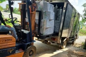 BĂNG KEO VÀNG TRONG 5F CÂY 6 CUỘN GIÁ TỐT GIAO ĐÀ NẴNG VÀ TOÀN QUỐC